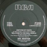 Mr. Mister – Broken Wings (Extended Version) 12'' Maxi Single Plak - Görsel 4
