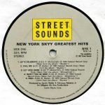 New York Skyy – Greatest Hits LP Plak - Görsel 3