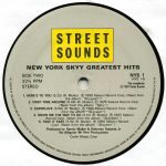 New York Skyy – Greatest Hits LP Plak - Görsel 4