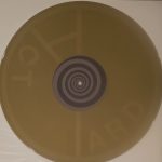 Yard Act – The Overload 2LP Renkli Plak - Görsel 3