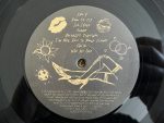 Sam Smith – Gloria LP Plak - Görsel 5