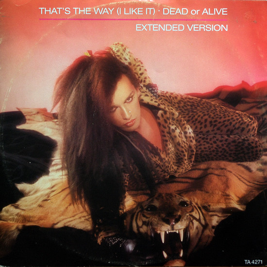 Dead Or Alive – That's The Way (I Like It) (Extended Version) 12''Maxi Single Plak