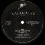 Dead Or Alive – That's The Way (I Like It) (Extended Version) 12''Maxi Single Plak - Görsel 3
