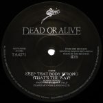 Dead Or Alive – That's The Way (I Like It) (Extended Version) 12''Maxi Single Plak - Görsel 4
