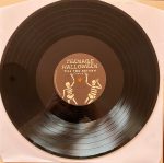 Teenage Halloween – Till You Return LP Plak - Görsel 6
