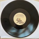 Teenage Halloween – Till You Return LP Plak - Görsel 5