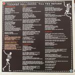 Teenage Halloween – Till You Return LP Plak - Görsel 3