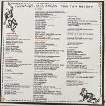 Teenage Halloween – Till You Return LP Plak - Görsel 4