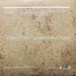 Virgin Prunes – A New Form Of Beauty Parts 1-4 2LP Plak - Görsel 2