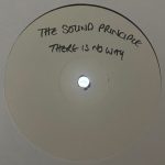 Sound Principle – There Is No Way (UK Garage Mixes) 12''Maxi Single Plak (Early House)
