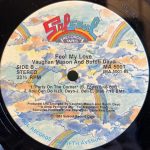 Vaughan Mason And Butch Dayo – Feel My Love LP Plak - Görsel 4