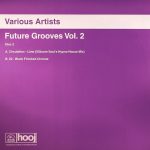 Future Grooves Vol. 2 12''Maxi Single Plak (Progressive House)