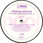 Future Grooves Vol. 2 12''Maxi Single Plak (Progressive House) - Görsel 3