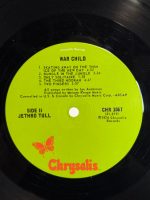 Jethro Tull – War Child LP Plak - Görsel 6