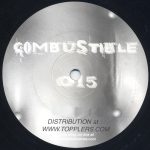 The Absolute Family – Hiceo / Welcome 2002 12''Maxi Single Plak (Deep House) - Görsel 2