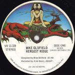 Mike Oldfield – Hergest Ridge LP Plak - Görsel 3
