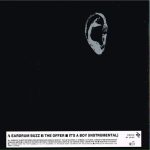 Wire – Eardrum Buzz 12'' Maxi Single Plak - Görsel 2