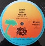 Steel Pulse – Prediction 12'' Maxi Single Plak - Görsel 4