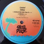 Steel Pulse – Prediction 12'' Maxi Single Plak - Görsel 3