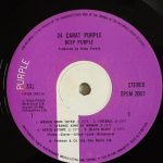 Deep Purple – 24 Carat Purple LP Plak - Görsel 3
