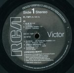 Loredana Berte' – Io LP Plak - Görsel 5