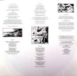 Big Country – The Crossing LP Plak - Görsel 5