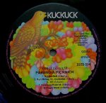 Ernst Schultz – Paranoia Picknick LP Plak - Görsel 4