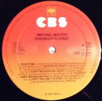 Michael Bolton – Everybody's Crazy LP Plak - Görsel 6