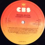 Michael Bolton – Everybody's Crazy LP Plak - Görsel 5