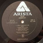 Aalon – Cream City LP Plak - Görsel 3