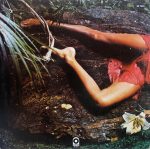 Roxy Music – Stranded LP Plak - Görsel 2