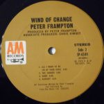 Peter Frampton – Wind Of Change LP Plak - Görsel 4
