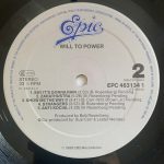 Will To Power – Will To Power LP Plak - Görsel 4