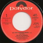 The Style Council – My Ever Changing Moods 45lik Plak - Görsel 3