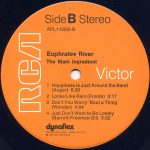 The Main Ingredient – Euphrates River LP Plak - Görsel 6