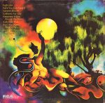 The Main Ingredient – Euphrates River LP Plak - Görsel 2