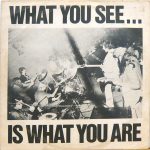 Alternative TV / Here And Now – What You See... Is What You Are LP Plak