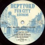 Alternative TV / Here And Now – What You See... Is What You Are LP Plak - Görsel 3