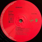 Genesis – Trespass LP Plak - Görsel 4