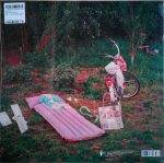 Chickn – Bel Esprit LP Plak - Görsel 2