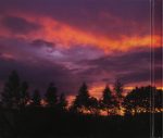 The Bennie Maupin Quartet – Early Reflections CD - Görsel 4