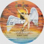 Robert Plant – Pictures At Eleven LP Plak - Görsel 3