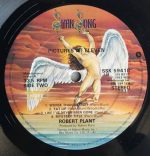 Robert Plant – Pictures At Eleven LP Plak - Görsel 4