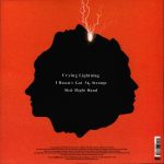 Arctic Monkeys – Crying Lightning 10'' Plak - Görsel 2