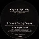 Arctic Monkeys – Crying Lightning 10'' Plak - Görsel 4