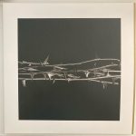 Amenra – De Doorn 2LP Plak