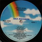 Spyro Gyra – Incognito LP Plak - Görsel 3