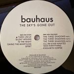Bauhaus – The Sky's Gone Out LP Plak - Görsel 4