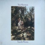 Van Morrison – Tupelo Honey LP Plak