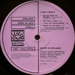 David McWilliams – Lord Offaly LP Plak - Görsel 3